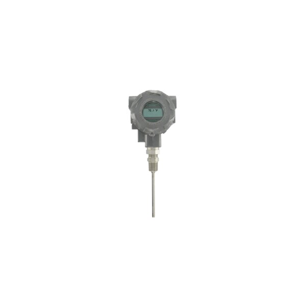 Explosion-proof RTD temperature transmitter, 18" probe, with LCD display.